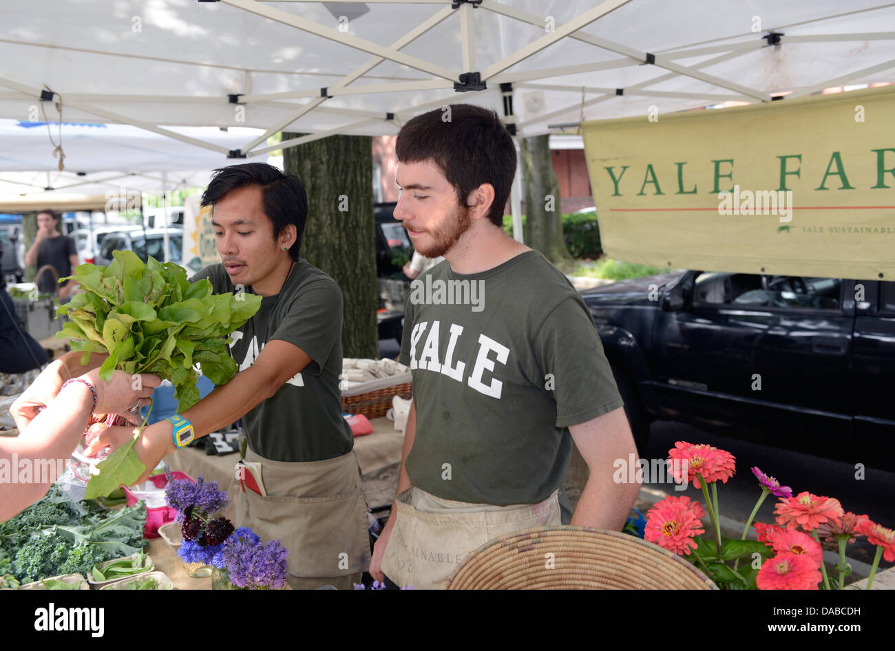 Yalies arbeiten als Ferialpraktikanten in Yales Bio-Garten. Vietnamesische Amerikaner Timothy Le, 14, links, und Jackson Blum, 15, R. Stockfoto
