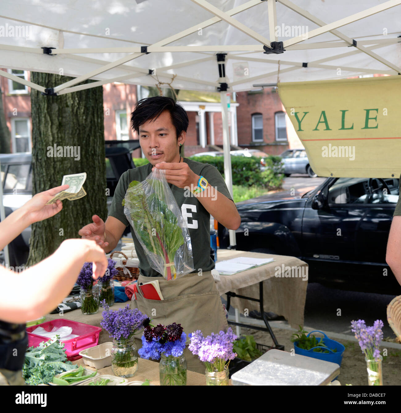 Yale-Kursteilnehmer, vietnamesische Amerikaner Timothy Le, arbeitet 14, Yales Bio-Garten. Nebel erzeugen am Bauernmarkt Stockfoto