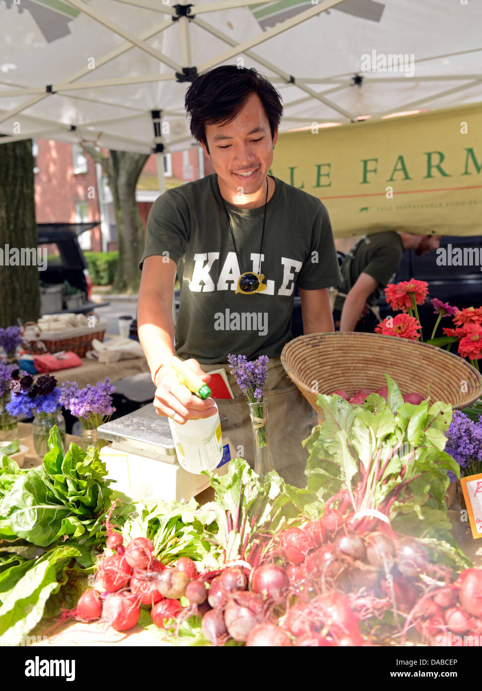 Yale-Kursteilnehmer, vietnamesische Amerikaner Timothy Le, arbeitet 14, Yales Bio-Garten. Nebel erzeugen am Bauernmarkt Stockfoto