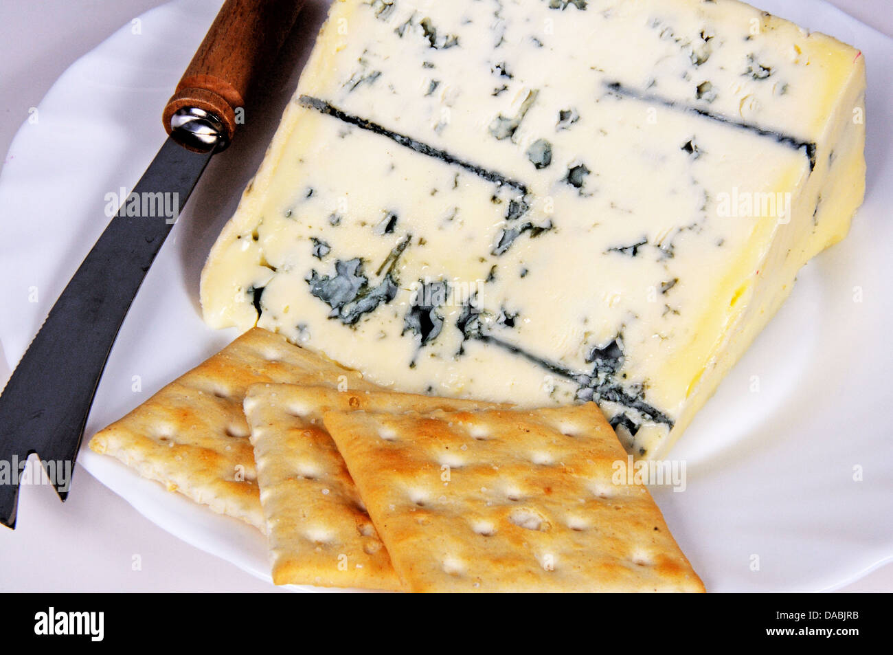 Französisch-Bleu d ' Auvergne Käse mit Crackern und Käsemesser auf einem weißen Teller. Stockfoto