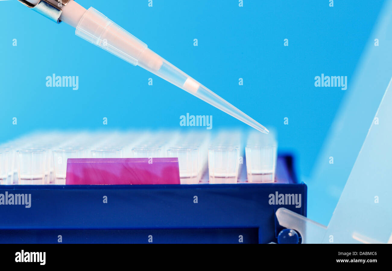 Pipette und multiwell Stockfoto