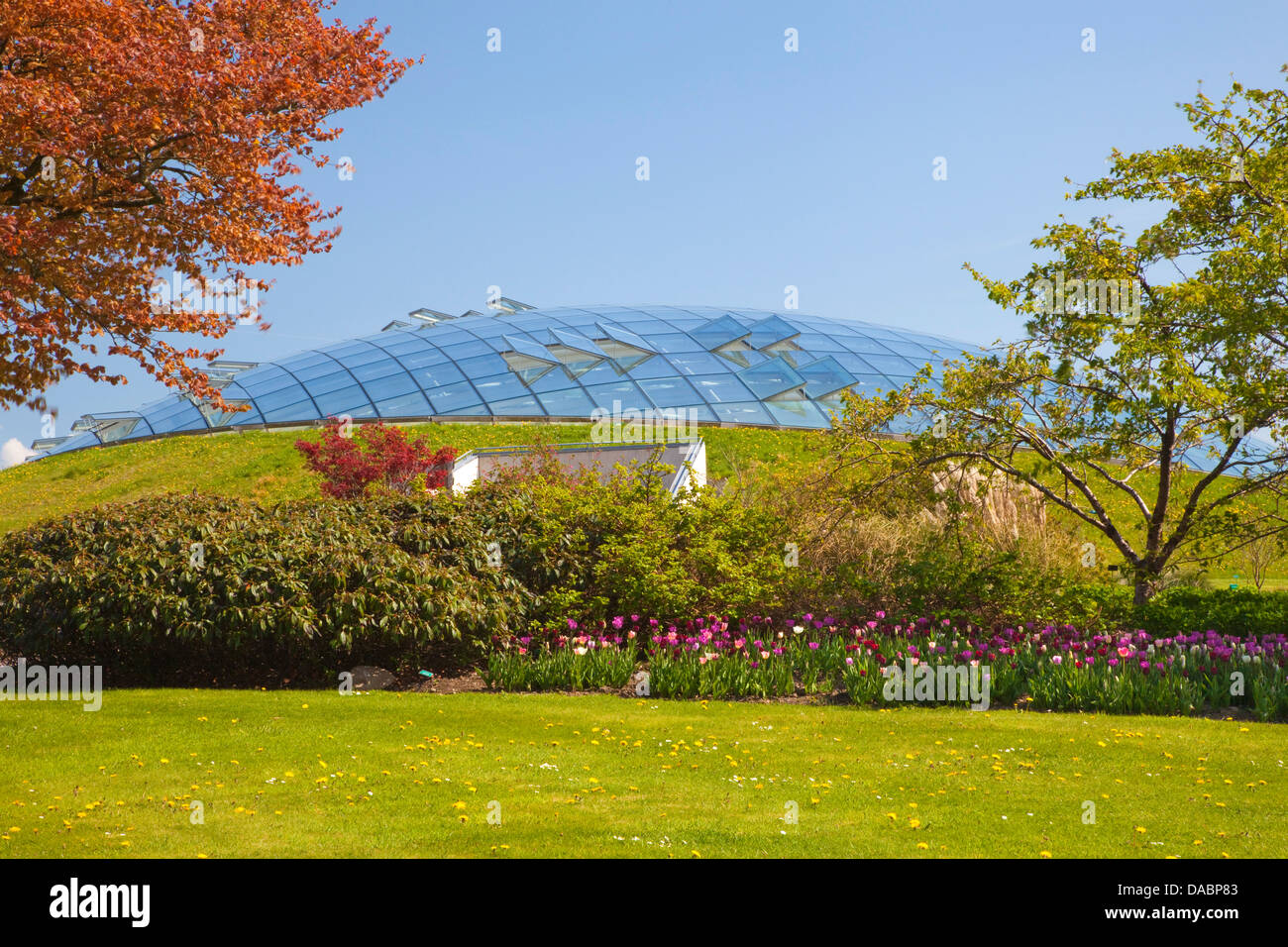 Nationaler Botanischer Garten von Wales, Llanarthne, Carmarthenshire, Wales, Vereinigtes Königreich, Europa Stockfoto