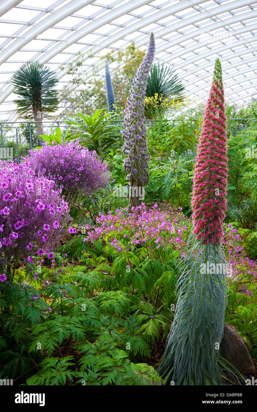 Nationaler Botanischer Garten von Wales, Llanarthne, Carmarthenshire, Wales, Vereinigtes Königreich, Europa Stockfoto