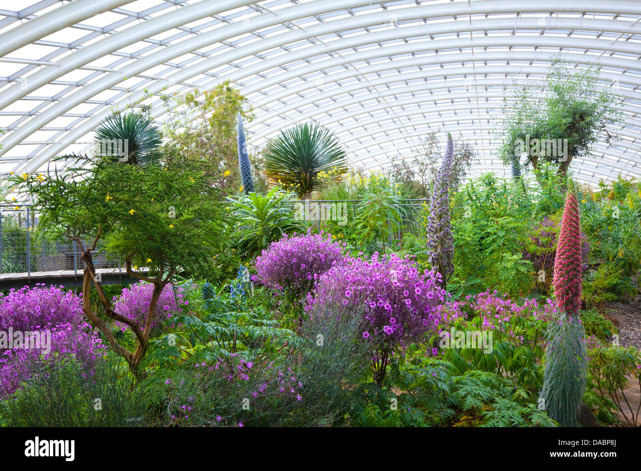 Nationaler Botanischer Garten von Wales, Llanarthne, Carmarthenshire, Wales, Vereinigtes Königreich, Europa Stockfoto