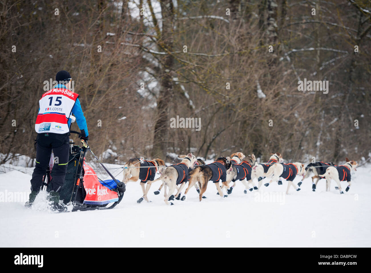Husky Hunde und Musher, internationales Schlittenhunderennen, La Grande Odyssee Savoie Mont Blanc, Haute-Savoie, Frankreich Stockfoto