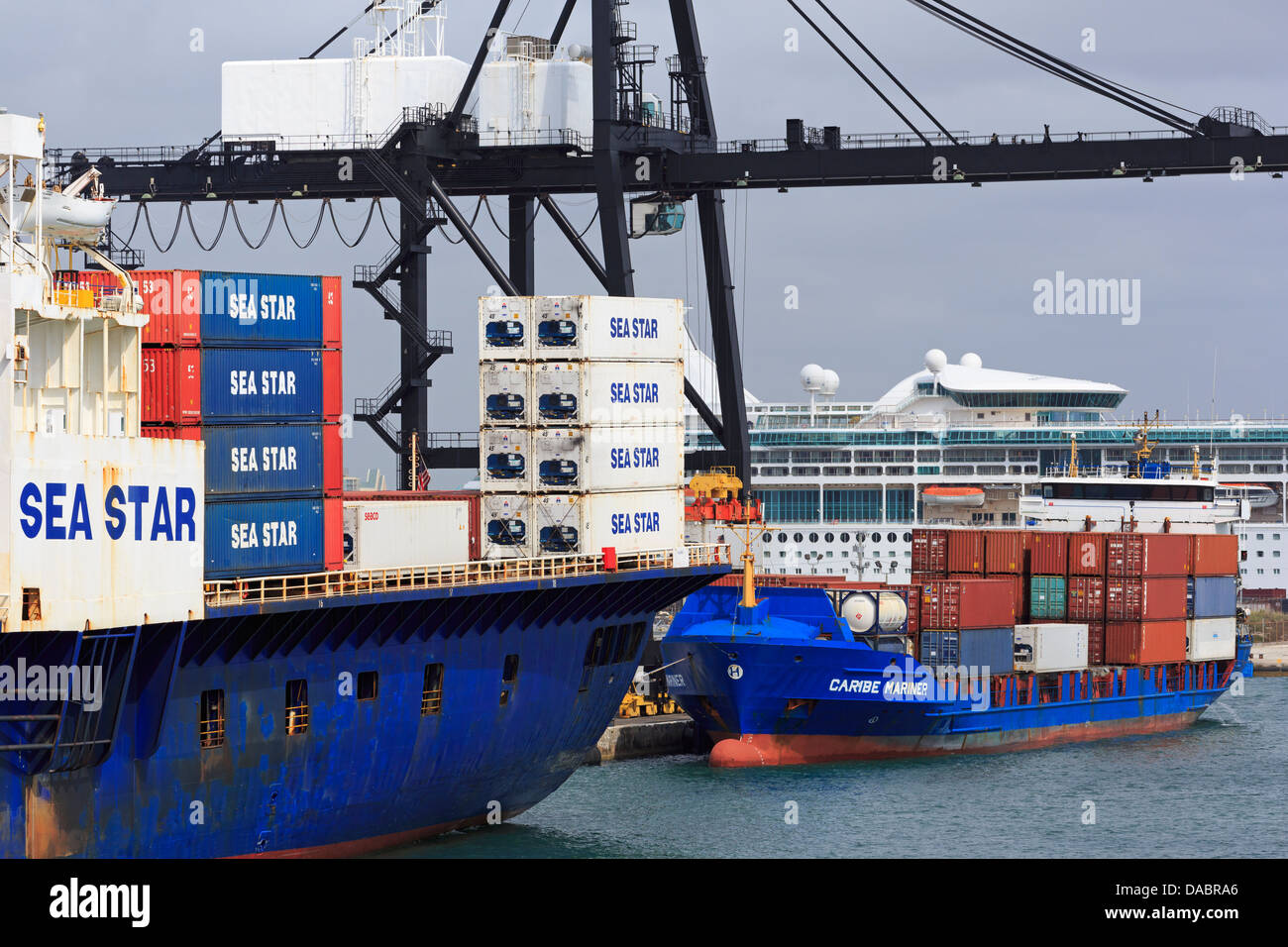 Containerschiff in Port Everglades in Fort Lauderdale, Florida, Vereinigte Staaten von Amerika, Nordamerika Stockfoto