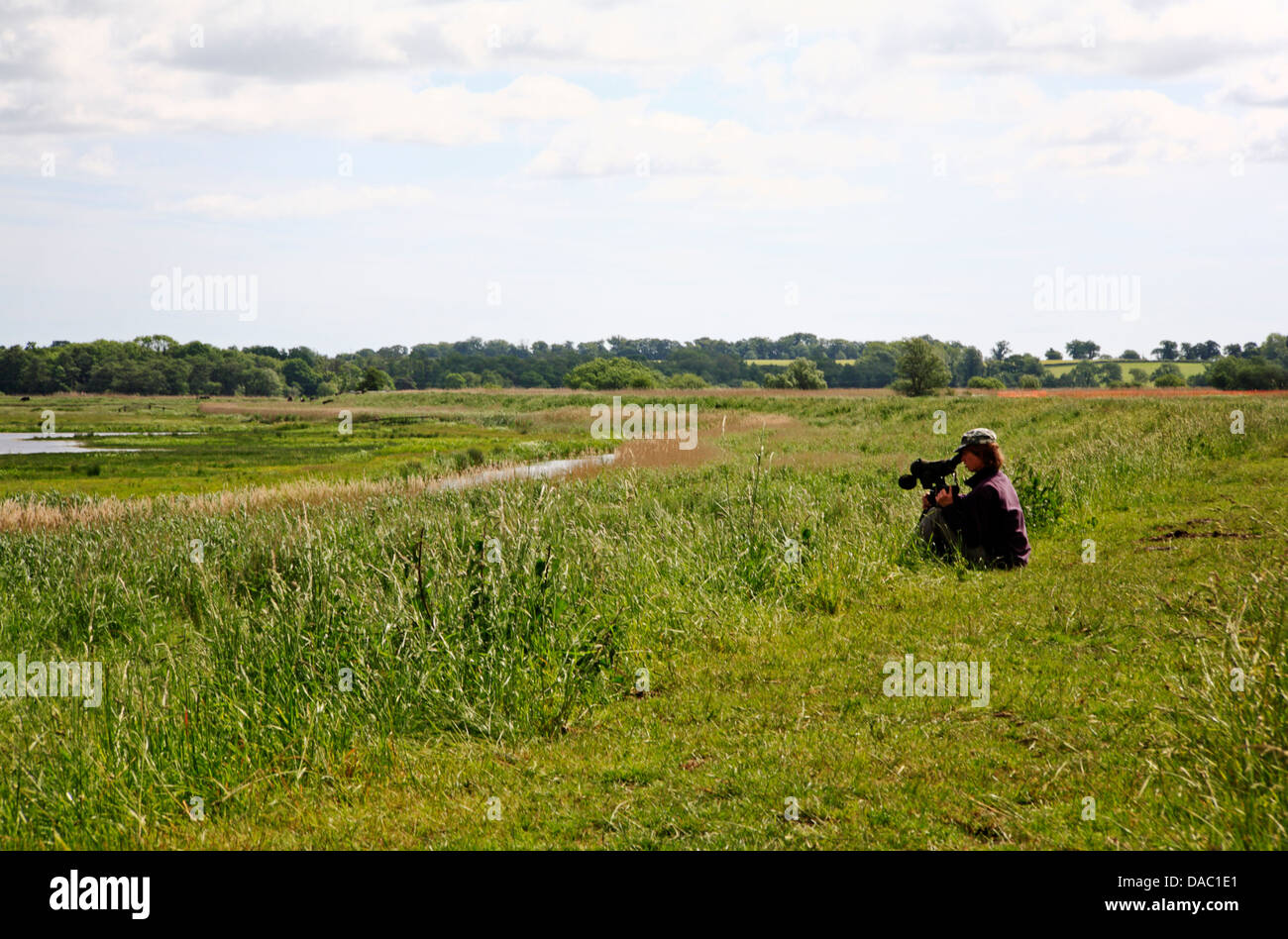 Ein Ornithologe mit Spektiv bei Buckenham Marshes, Norfolk, England, Vereinigtes Königreich. Stockfoto