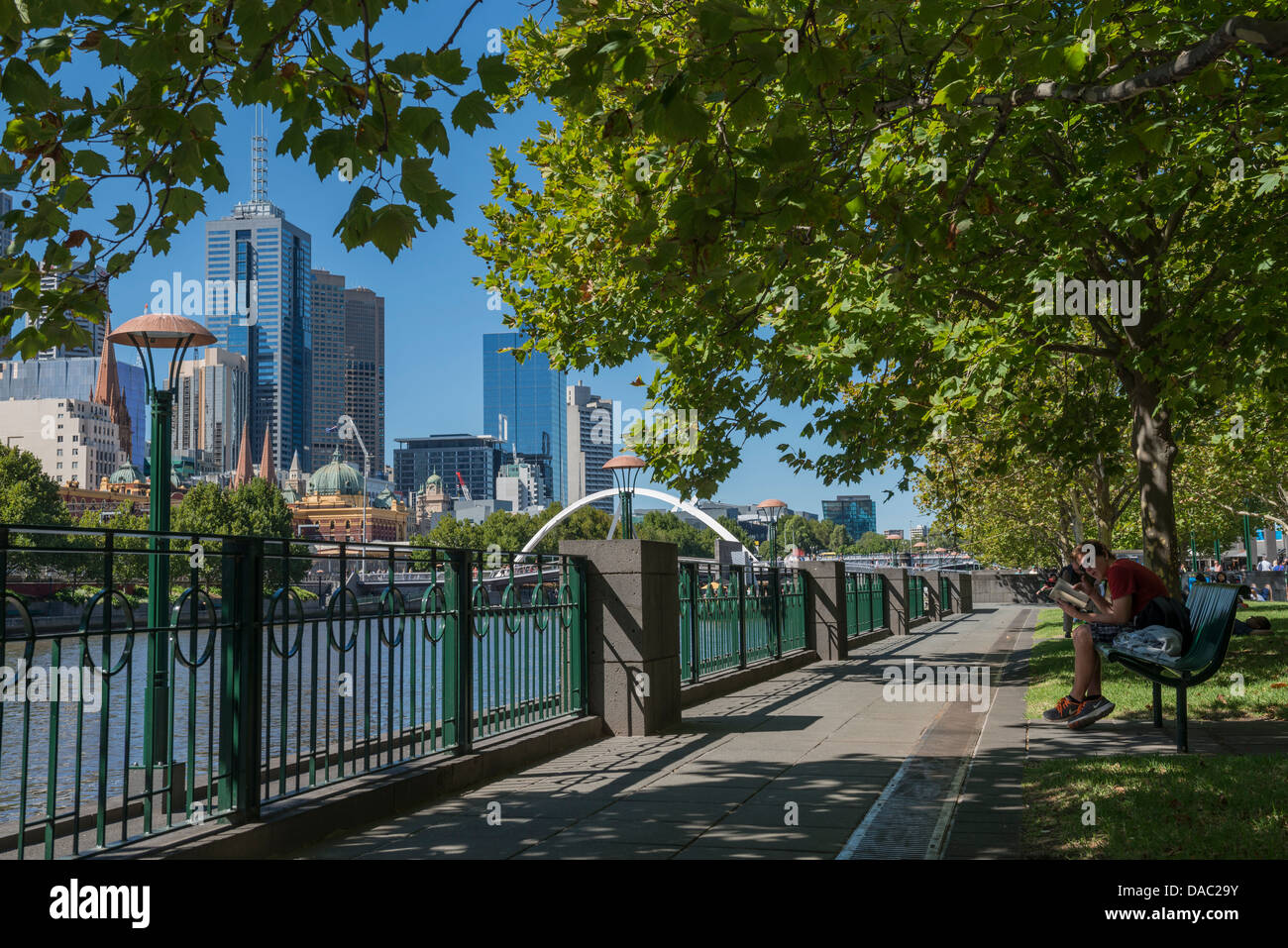 Mann liest ein Buch im Schatten der Bäume entlang Southbank Promenade im Sommer, Melbourne, Australien Stockfoto