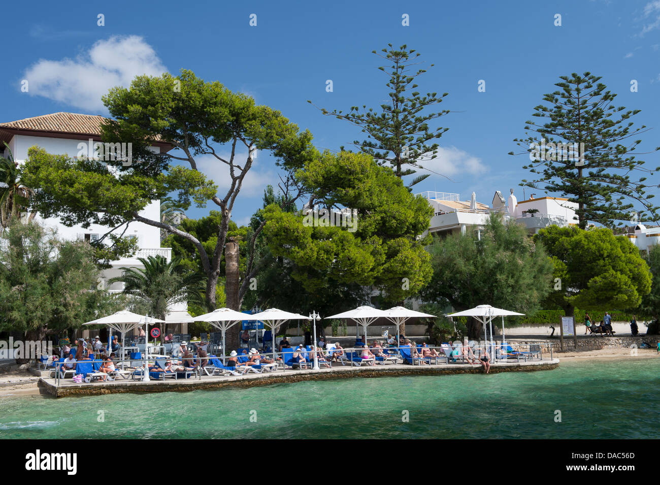 Sonnenbaden am schönen Puerto Pollensa (Port de Pollenca) im Norden Mallorca Mallorca Urlauber Stockfoto