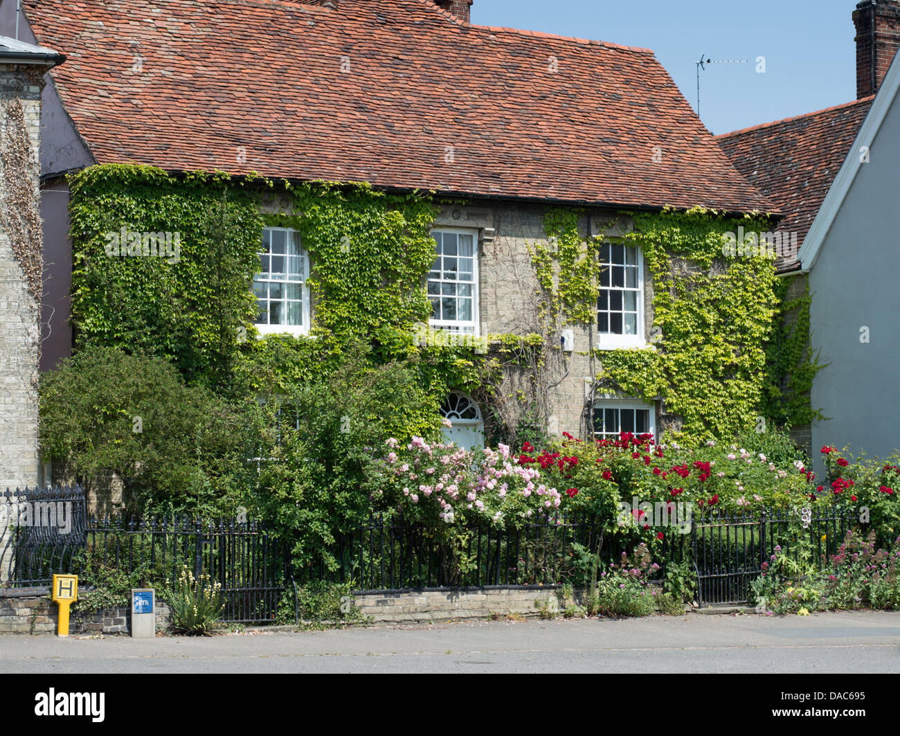 Ein efeuumranktes Haus in Cavendish, Suffolk, England. Stockfoto