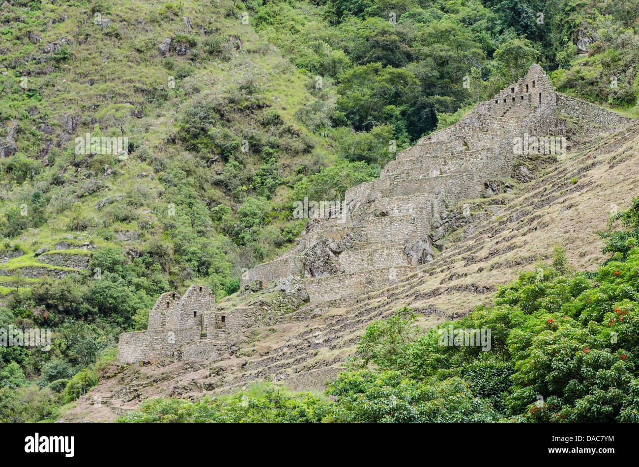 Alten Inka Inka Ruinen Reste Terrassen entlang der Vilcanota River Sacred Valley in der Nähe von Aguas Calientes, Peru. Stockfoto