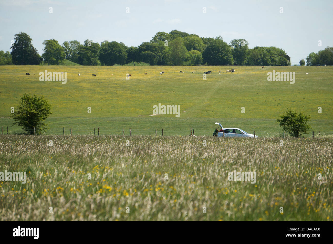 Stonehenge Wiltshire England GB UK 2013 Stockfoto