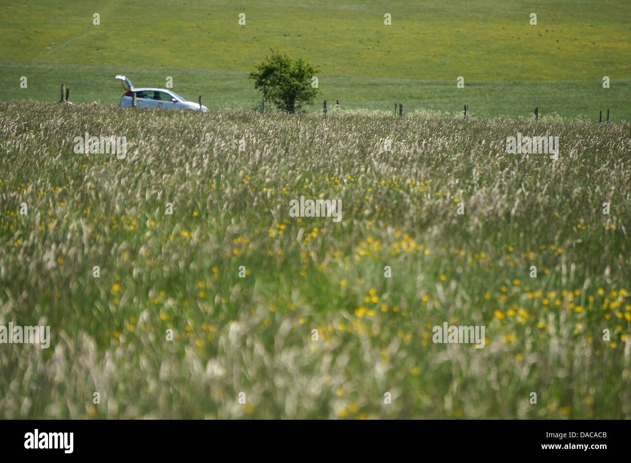 Stonehenge Wiltshire England GB UK 2013 Stockfoto