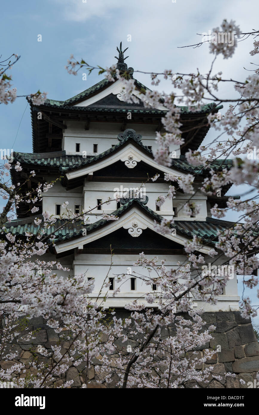 Hirosaki Schloss und Kirschblüten, Japan Stockfoto