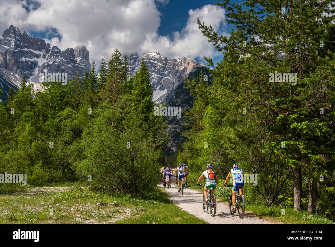 Mountainbiker fahren in den Dolomiten, Südtirol oder Südtirol, Italien Stockfoto