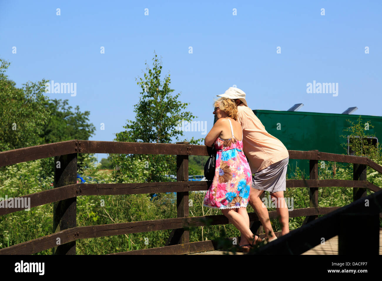 Mittleren gealterten paar auf der Suche über eine Holzbrücke Stockfoto