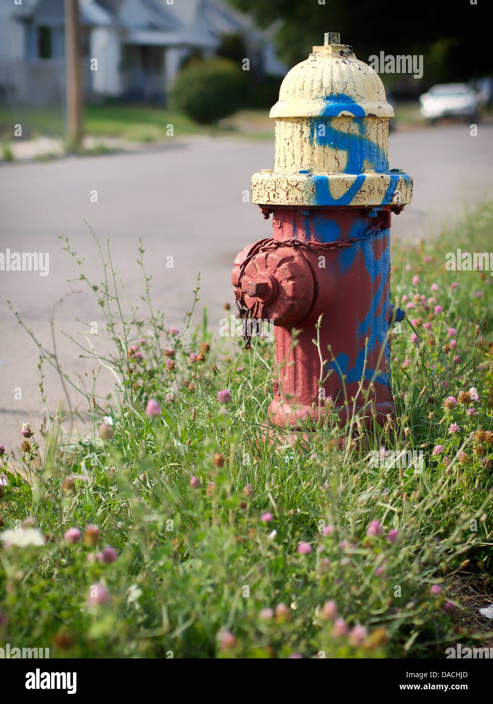 Hydranten mit Graffiti in einer Detroit Nachbarschaft in einem vernachlässigten Hof umgeben von urban Prairie gemalt. Stockfoto