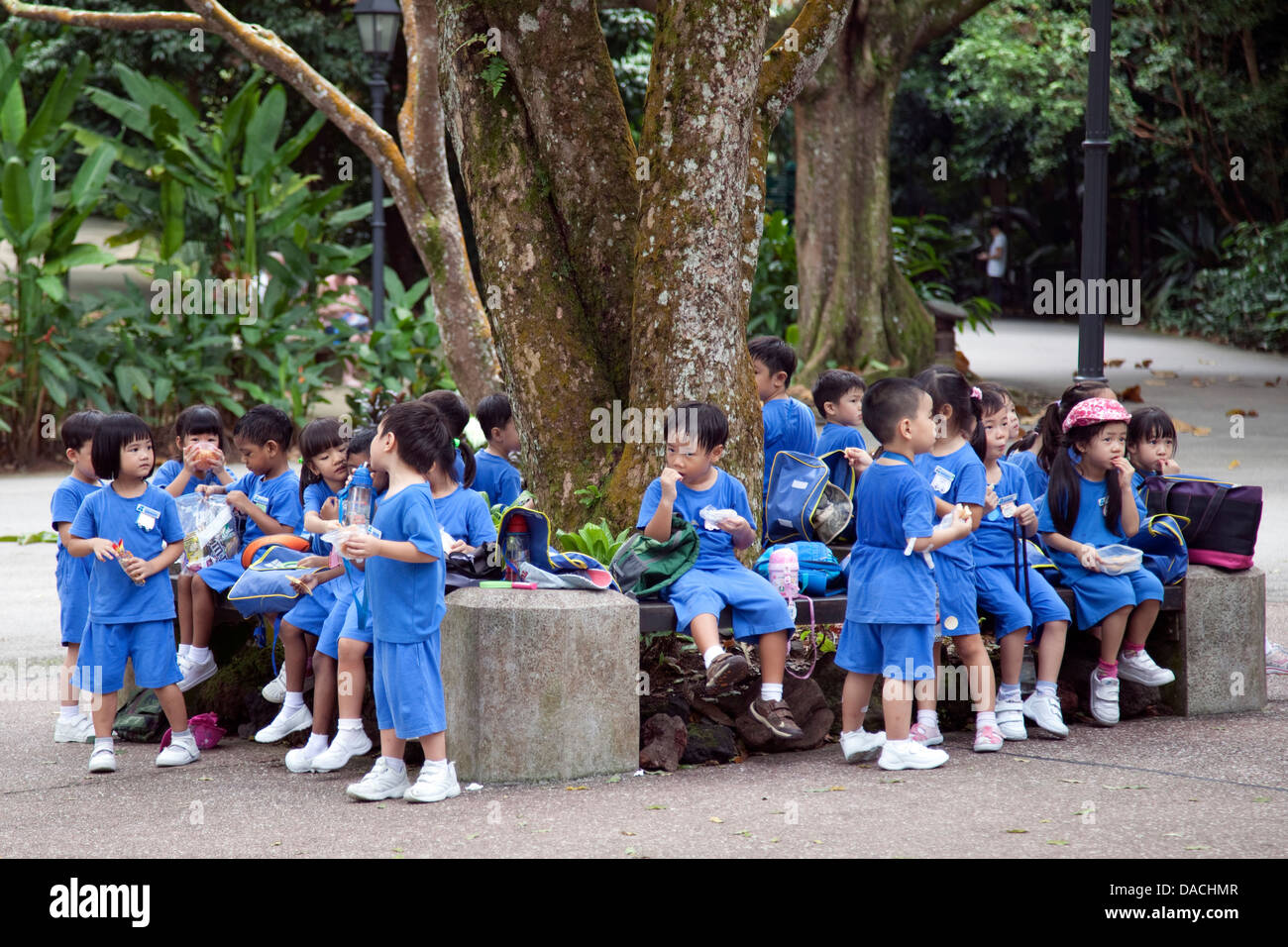 Kleine Kinder essen zu Mittag in Singapur unter einem Baum. Stockfoto