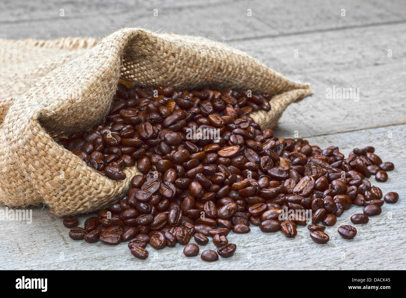 Kaffeebohnen Verschütten von Sack - frisch gebratenen Kaffeebohnen aus Sackleinen oder Jute meschotschek auf einem rustikalen Hintergrund verschütten. Stockfoto