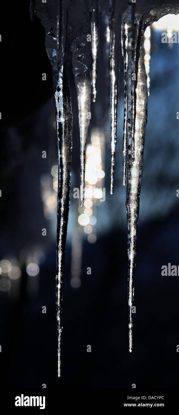 Eiszapfen glitzern in der Sonne in der Nähe von Unterjoch, 25. Dezember 2011. Das Wetter in Bayern wechselt. Nur in höheren Lagen ist der Schnee liegen geblieben. Foto: Karl-Josef Hildenbrand Stockfoto