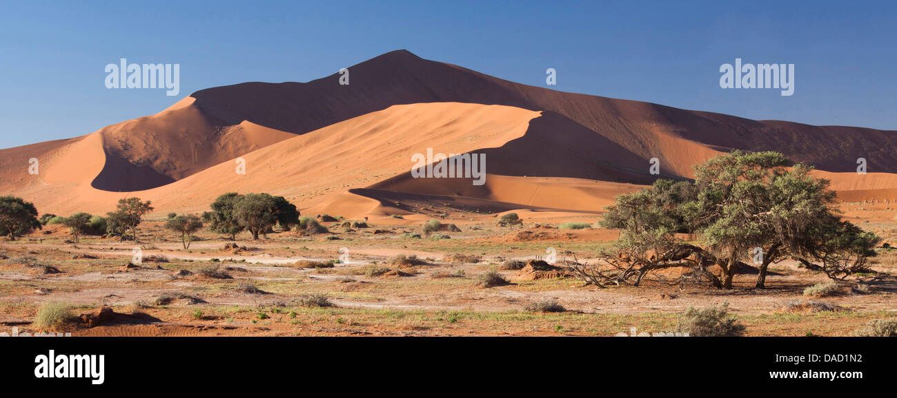 Panoramablick auf den alten orangefarbenen Sanddünen der Namib-Wüste bei Sossusvlei, in der Nähe von Sesriem, Namib Naukluft Park, Namibia Stockfoto