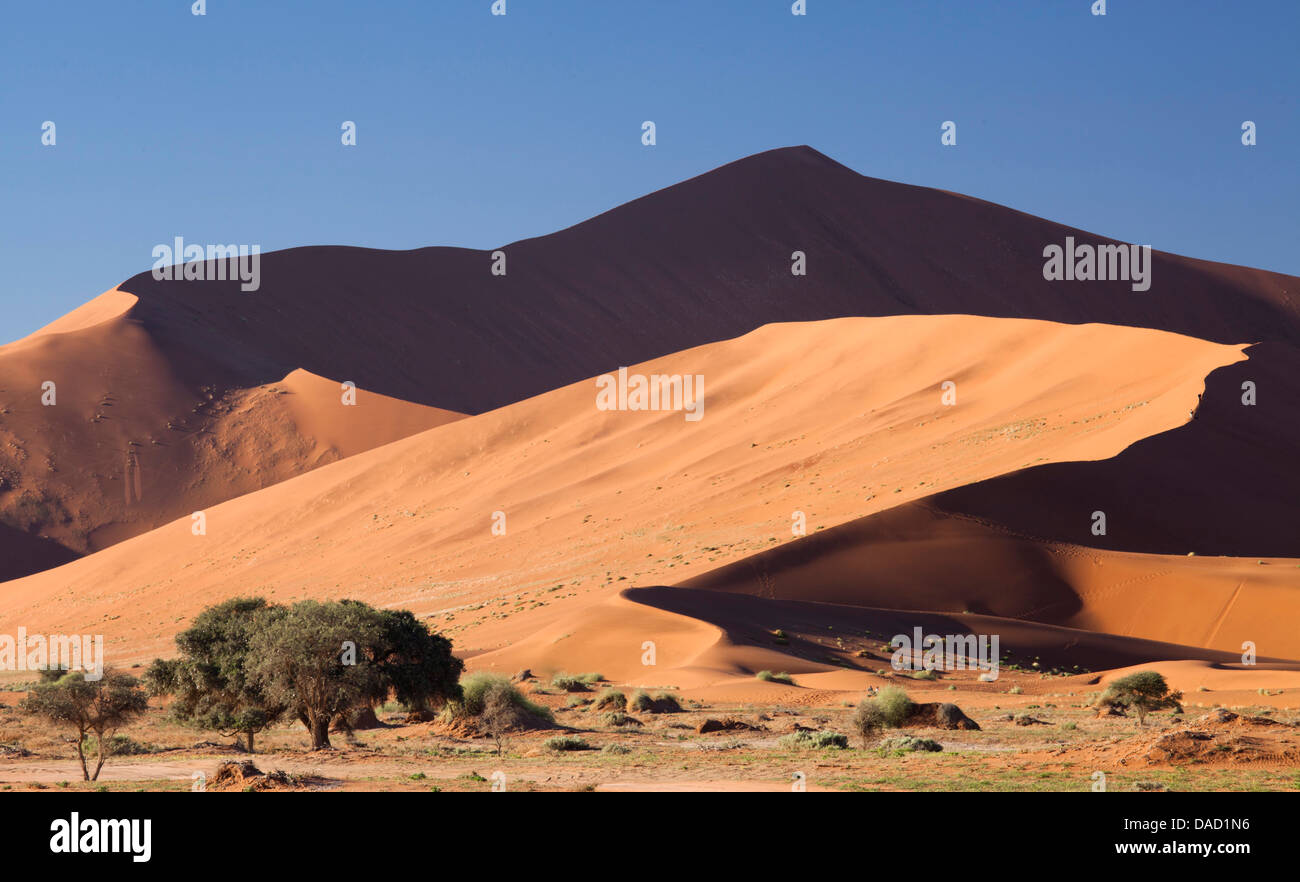 Alten orangefarbenen Sanddünen der Namib-Wüste bei Sossusvlei, in der Nähe von Sesriem, Namib Naukluft Park, Namibia, Afrika Stockfoto