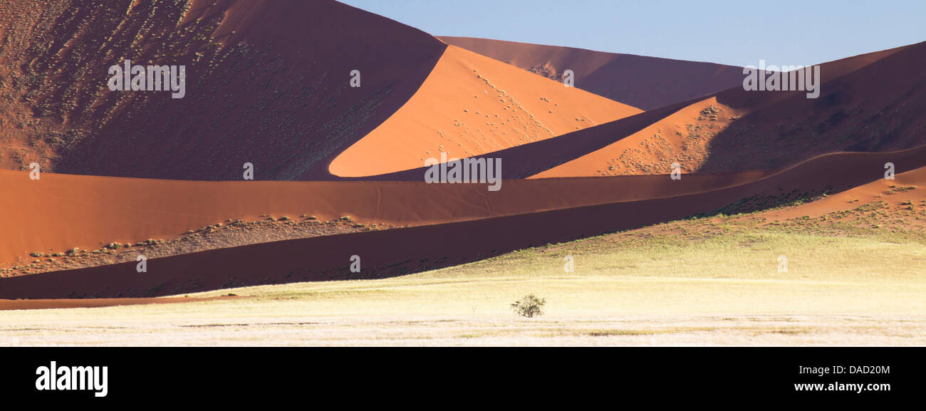Panoramablick über den hoch aufragenden Orangen Dünen der alten Namib-Wüste in der Nähe von Sesriem, Namib-Wüste Namib Naukluft Park, Namibia Stockfoto