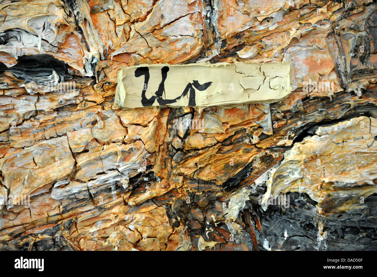 Anselm Kiefer-Ausstellung im Museum Frieder Burda in Baden-Baden, Deutschland, 6. Oktober 2011 ist ein Abschnitt des Gemäldes "Fruchtbaren Halbmond" abgebildet. 20 großformatige Gemälde des deutschen Künstlers in Frankreich wohnhaft ist auf der Messe vorgestellten "Anselm Kiefer. Ausgewählte Werke aus der Sammlung Grothe "zwischen 7. Oktober 2011 und 15. Januar 2012. Foto: Rolf Haid Stockfoto