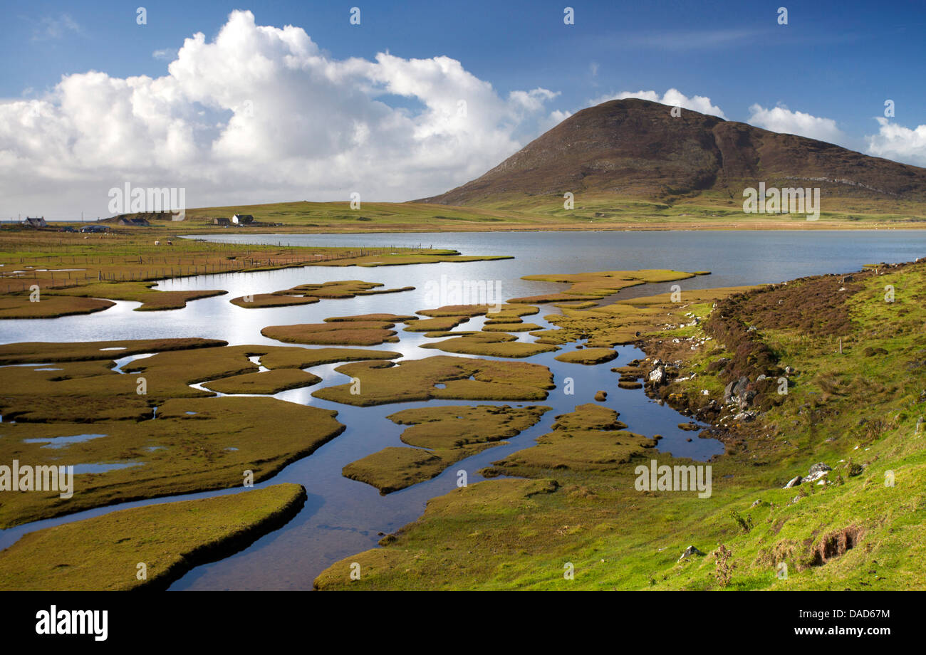 Meer Rasen am Northton, in der Nähe von Leverburgh, Isle of Harris, äußeren Hebriden, Schottland, Vereinigtes Königreich, Europa Stockfoto