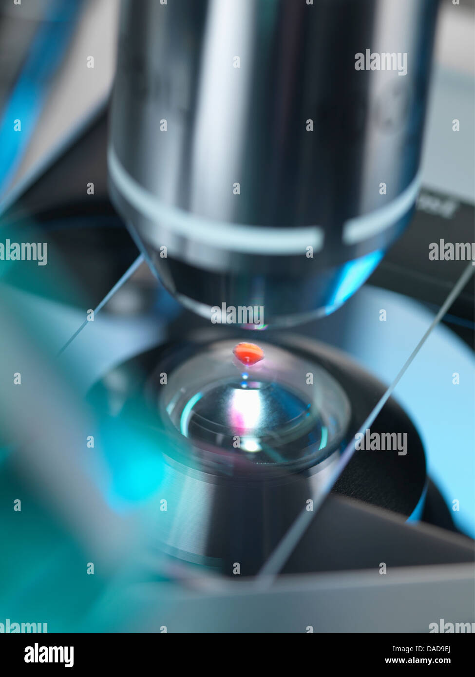 Ein Lichtmikroskop untersucht eine Probe im Labor für die pharmazeutische Forschung Stockfoto