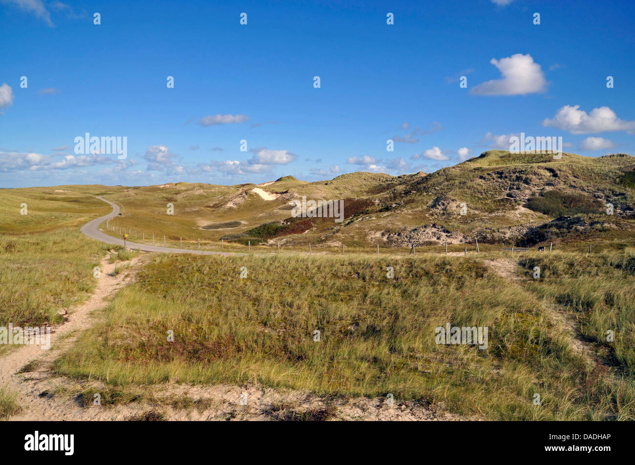 Wanderweg in den Dünen von Julianadorp Aan Zee, Niederlande, Norden der Niederlande Stockfoto