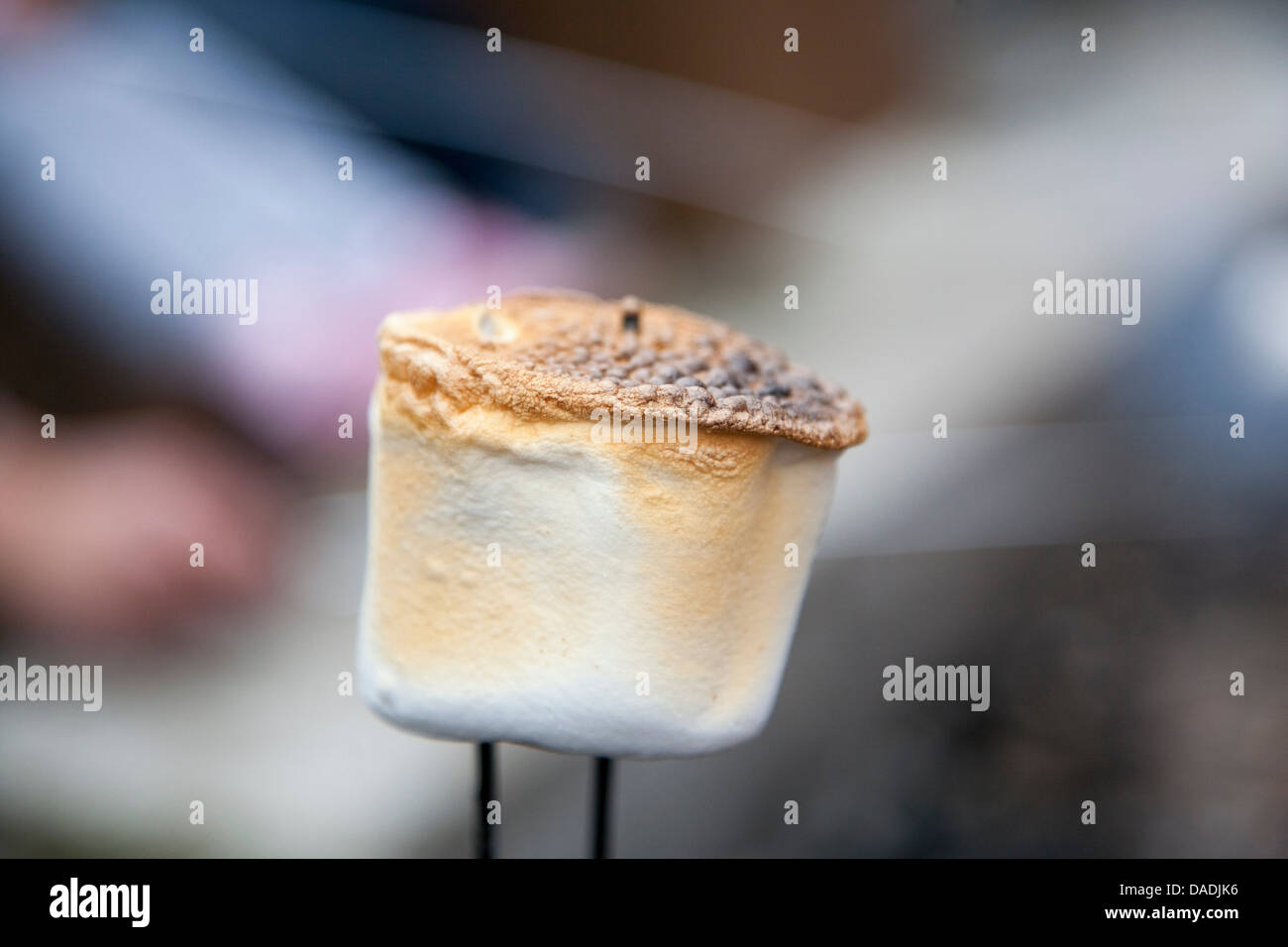 Nahaufnahme von gerösteten marshmallow Stockfoto