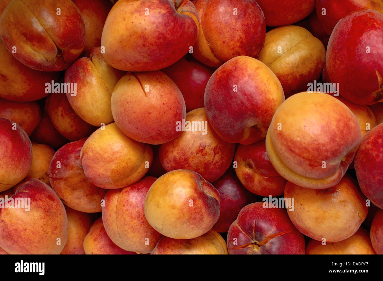 Frische und leckere natürliche Aprikose in Hintergrund. Stockfoto