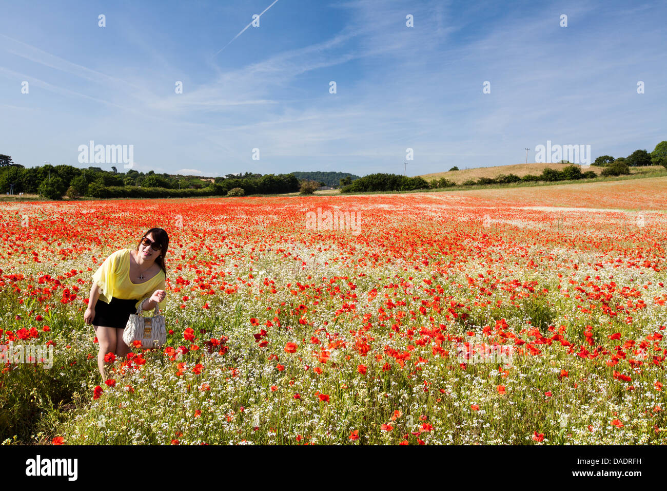 Ein chinesischer Tourist posiert in einem Feld von Mohnblumen in England Stockfoto