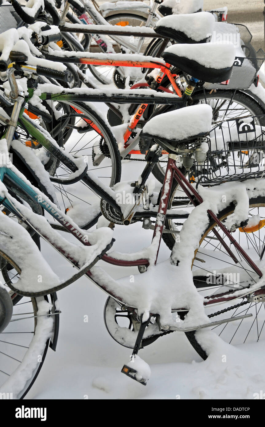 schneebedeckte Fahrräder am Fahrradträger, Deutschland, Nordrhein-Westfalen, Köln Stockfoto