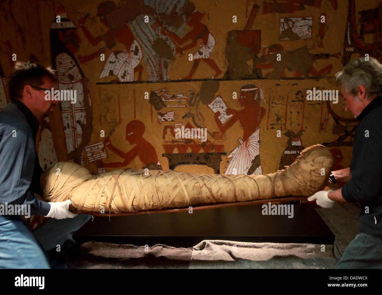Zwei Mitarbeiter des ägyptischen Museums in Florenz setzen die rund 2000 Jahre alte Mumie einer 25-30 Jahre alten Frau in einem Glaskasten im archäologischen Museum in Frankfurt Main, Deutschland, 1. November 2011. Sie ist Teil der Sonderausstellung "Reise in die Unsterblichkeit", zeigt die Rituale und Techniken von den ägyptischen Totenkult und von 5. November 2011 bis zu sehen Stockfoto