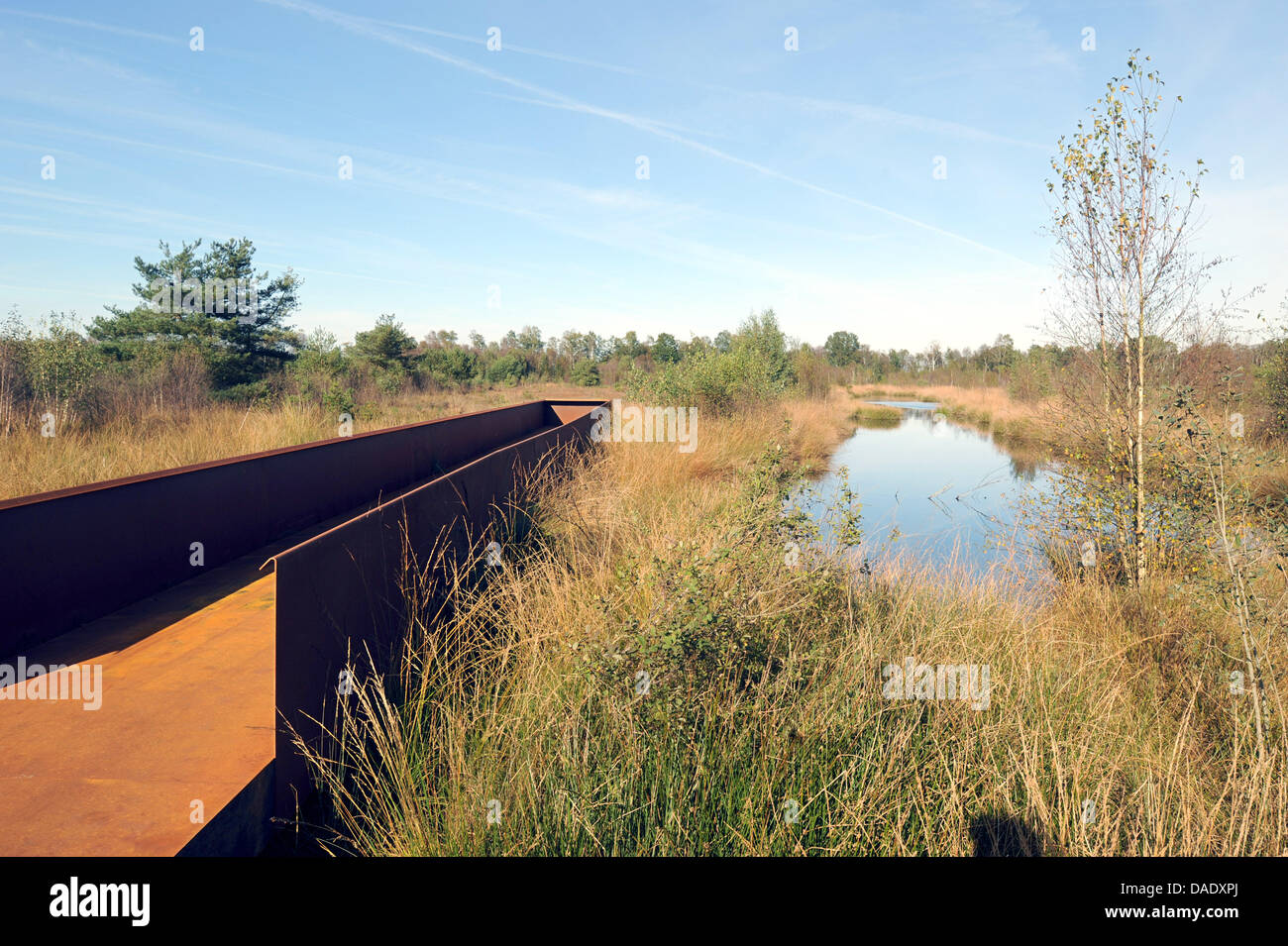 Die rostigen Stahl gelegt, symbolische Zwangsarbeit Weg führt in den benachbarten Sumpf und endet abrupt in Esterwegen, Deutschland, 14. Oktober 2011. Es ist Teil der Gedenkstätte Esterwegen, die offiziell am 31. Oktober 2011 beginnt. Die Gedenkstätte an der ehemaligen Konzentration, Straf- und Gefangenenlager soll an die Schrecken der NS-Zeit erinnern. Foto: Ingo Wagner Stockfoto