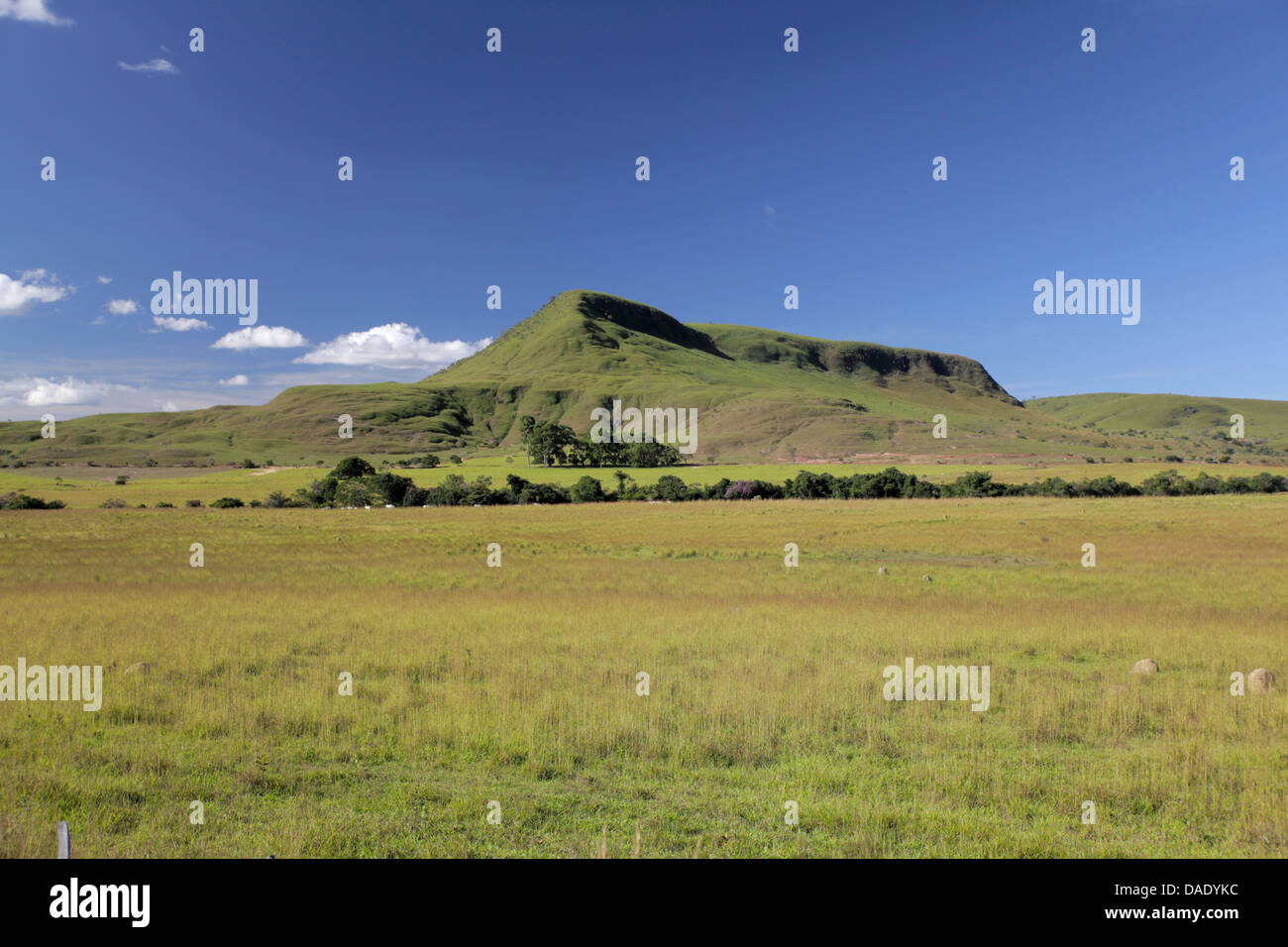 Feld und Berg in Chapada Dos Veadeiros in Goias Staat Brasilien Stockfoto