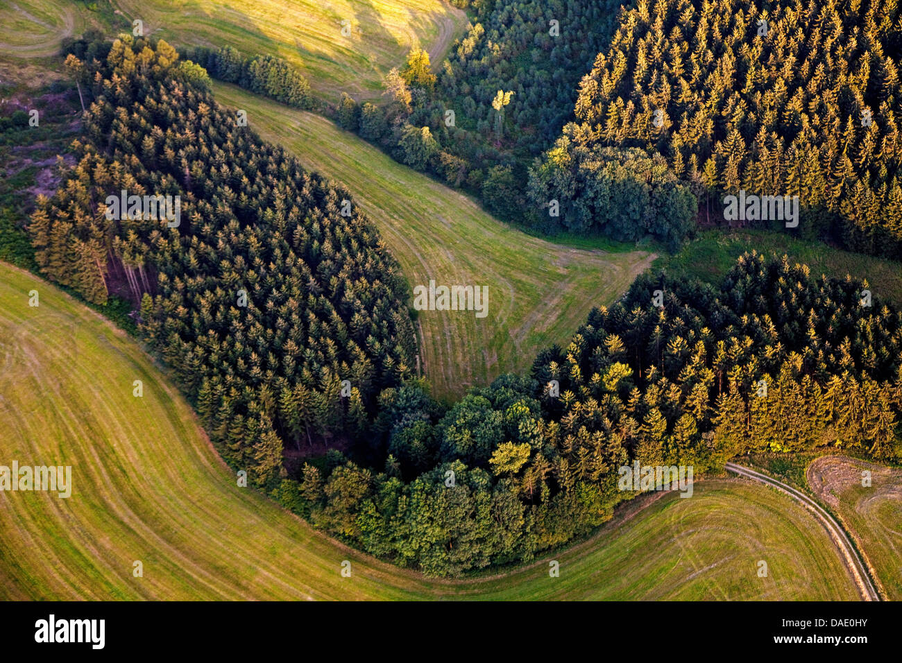 Luftbild, Wald und Wiesen, Deutschland, North Rhine-Westphalia, Oberbergisches Land, Wipperfuerth Stockfoto