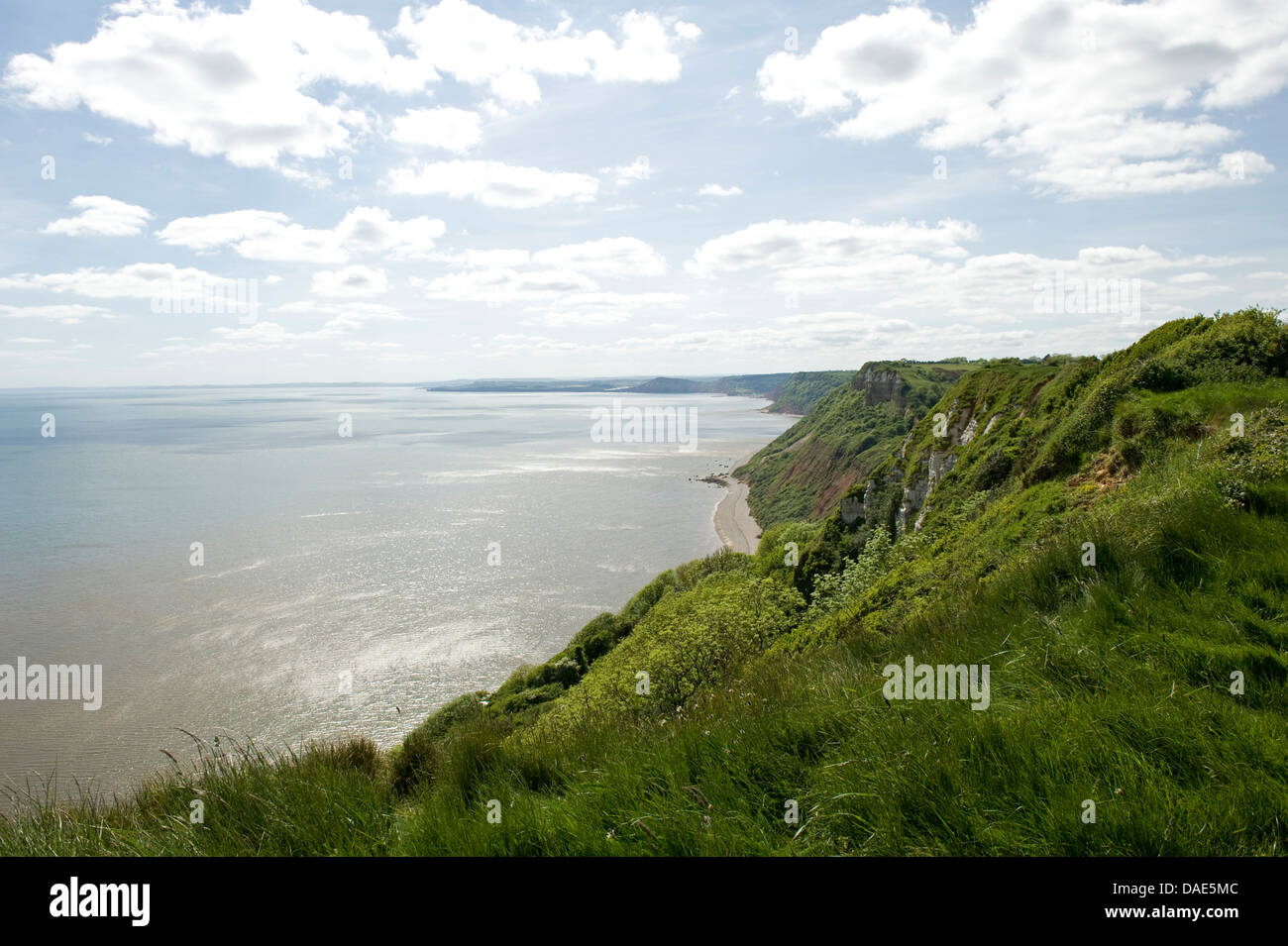 Jurassic Küste im Sommer Blick von den Klippen auf Branscombe in Richtung Sidmouth Stockfoto