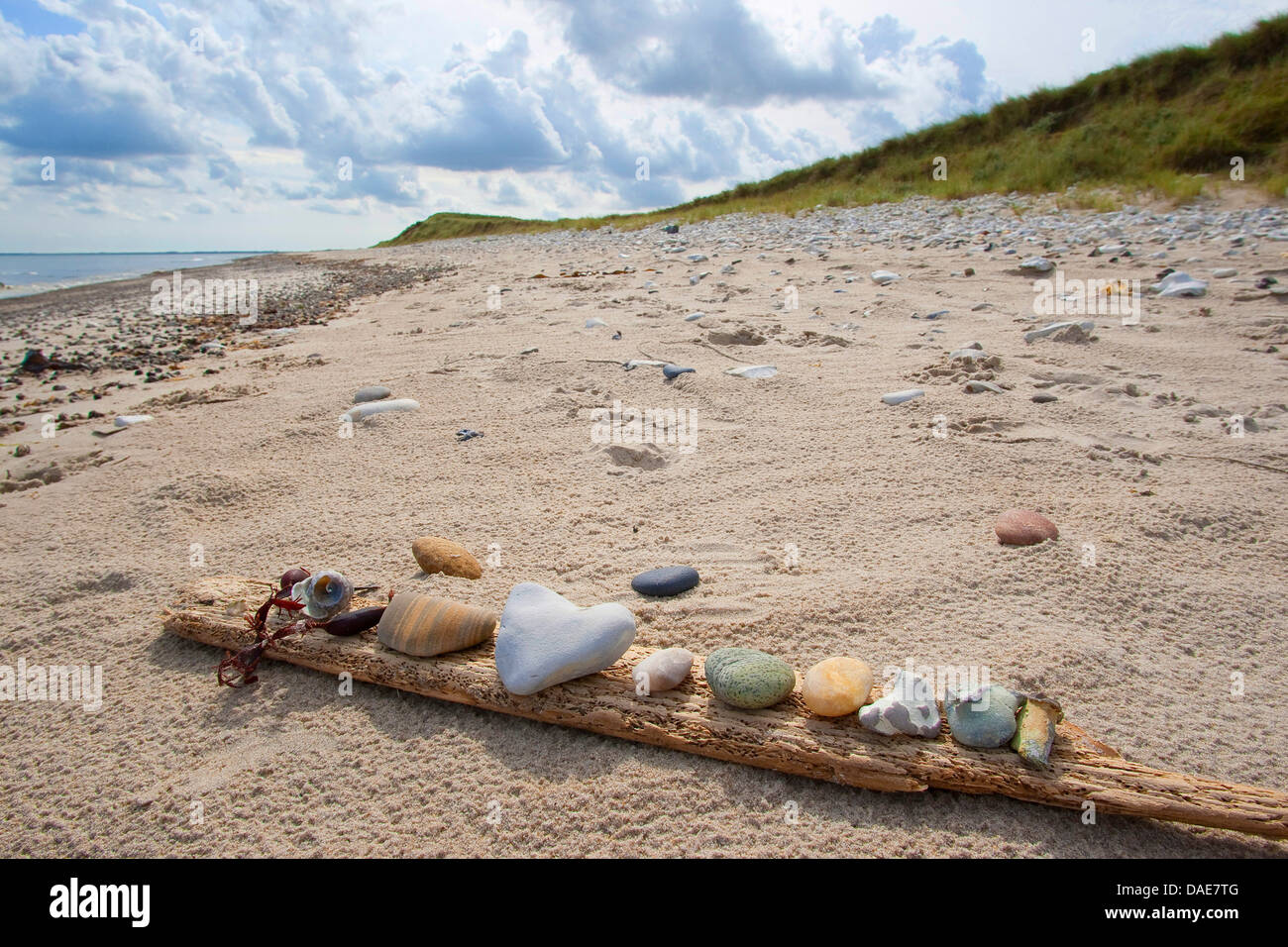 Sammlung von spürbaren Steinen liegen auf einem Stück Treibholz am Strand Nordsee Sand, Deutschland Stockfoto