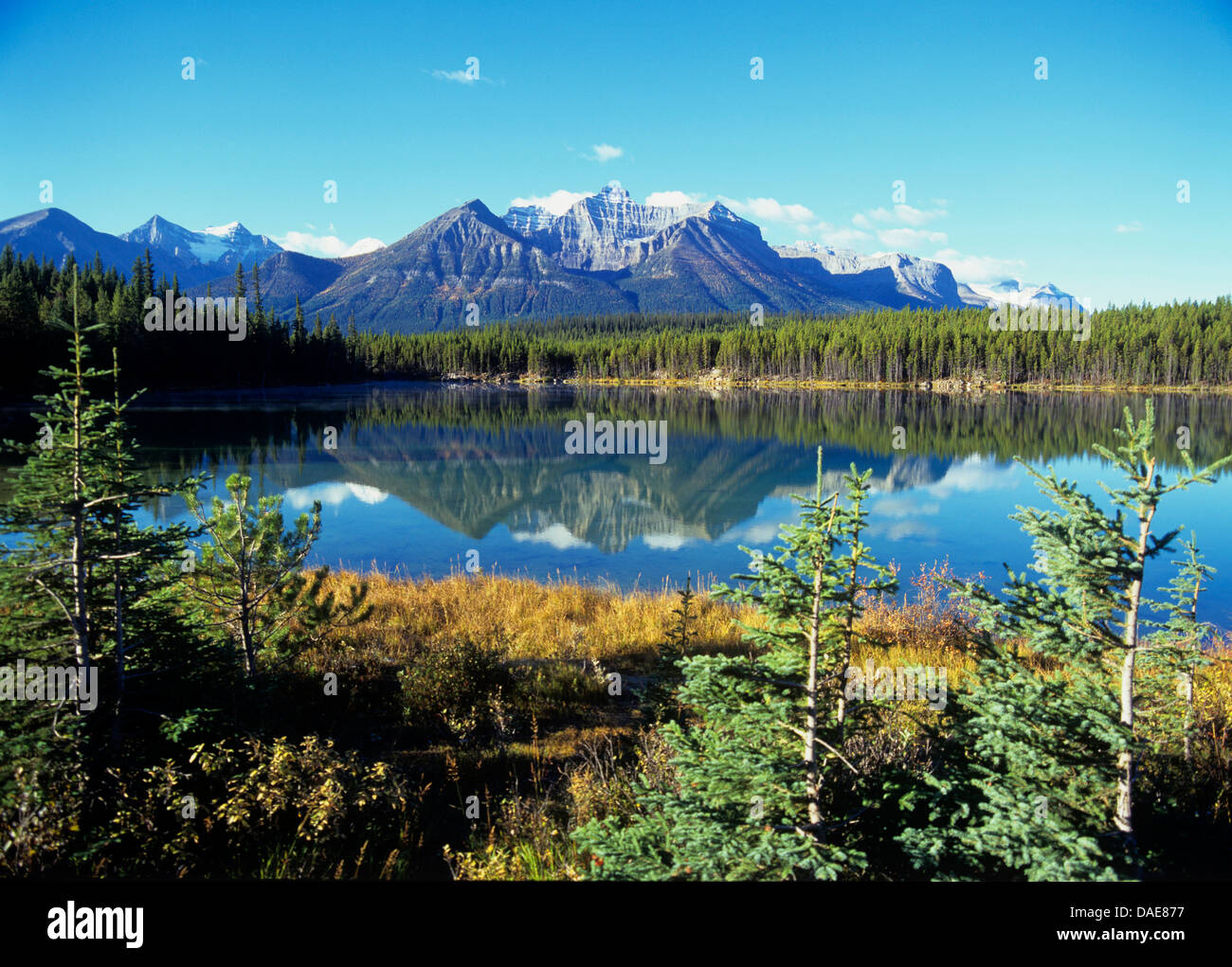 Waterton Lakes National Park, Kanada, Alberta, Waterton Lakes National Park Stockfoto