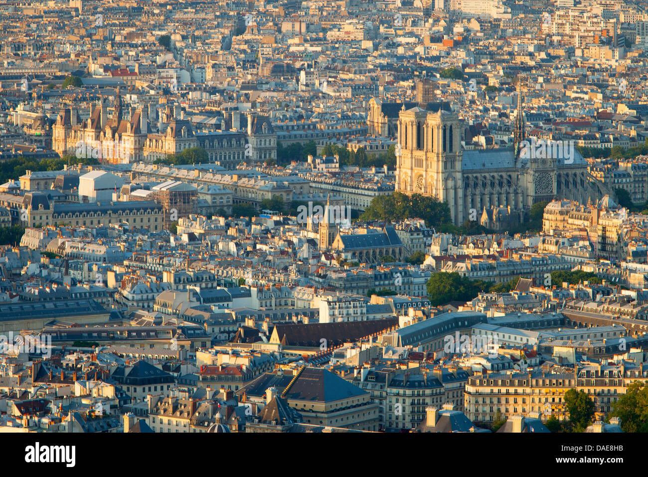 Einstellen von Sonnenlicht über Kathedrale Notre Dame und die Gebäude von Paris Frankreich Stockfoto