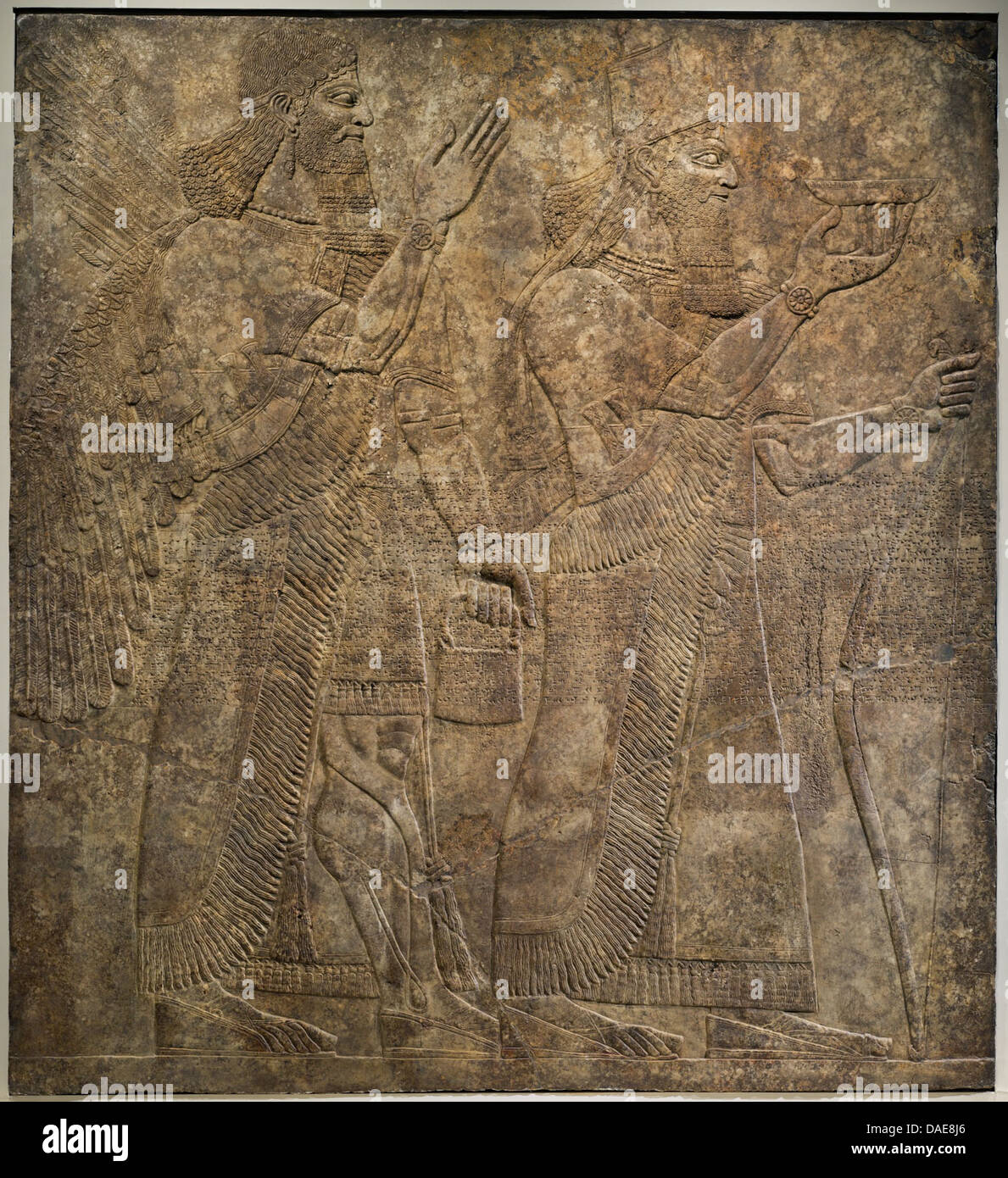 Dieses assyrische Relief zeigt König Aschurnasirpal II. Mit einer geflügelten Gottheit, die königliche Macht und göttlichen Schutz betont. Die detaillierte Schnitzerei hebt die assyrische Kunst und die Verbindung zwischen Herrschern und Göttern in der antiken mesopotamischen Kultur hervor. Stockfoto