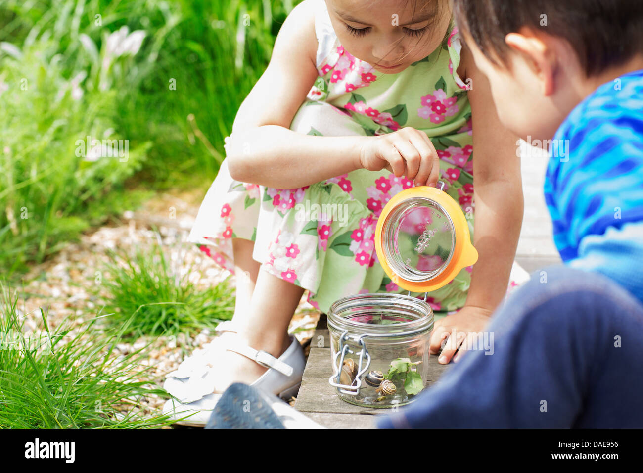 Mädchen und jungen im Garten beobachten Glas Schnecken Stockfoto