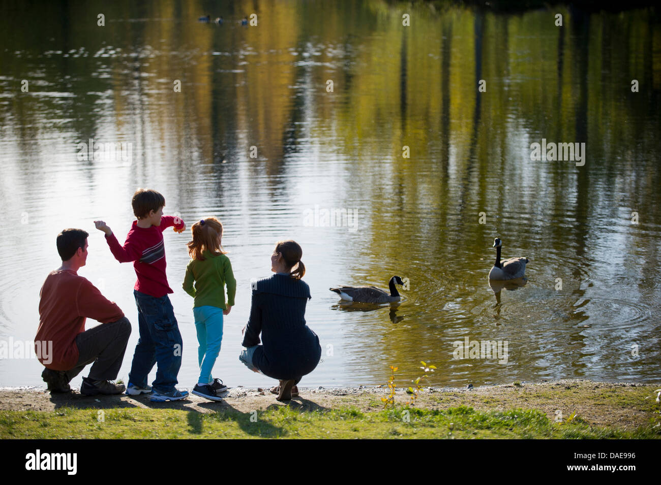 Familie im Park Enten füttern Stockfoto