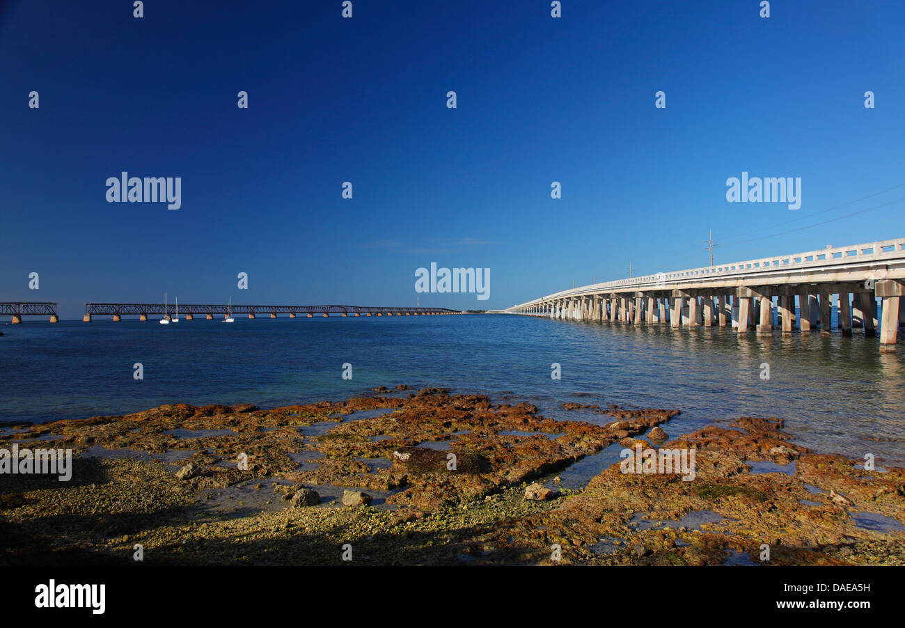 Unteren Bahia Honda State Park, Florida Keys, Brücke zwischen den Tasten, USA, Florida Stockfoto