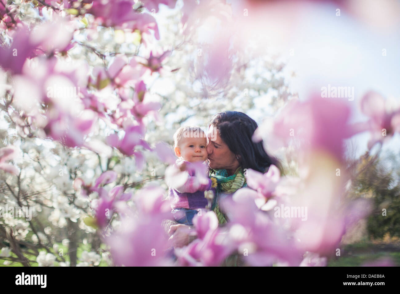 Enkelin und Großmutter unter den Magnolien blühen Stockfoto