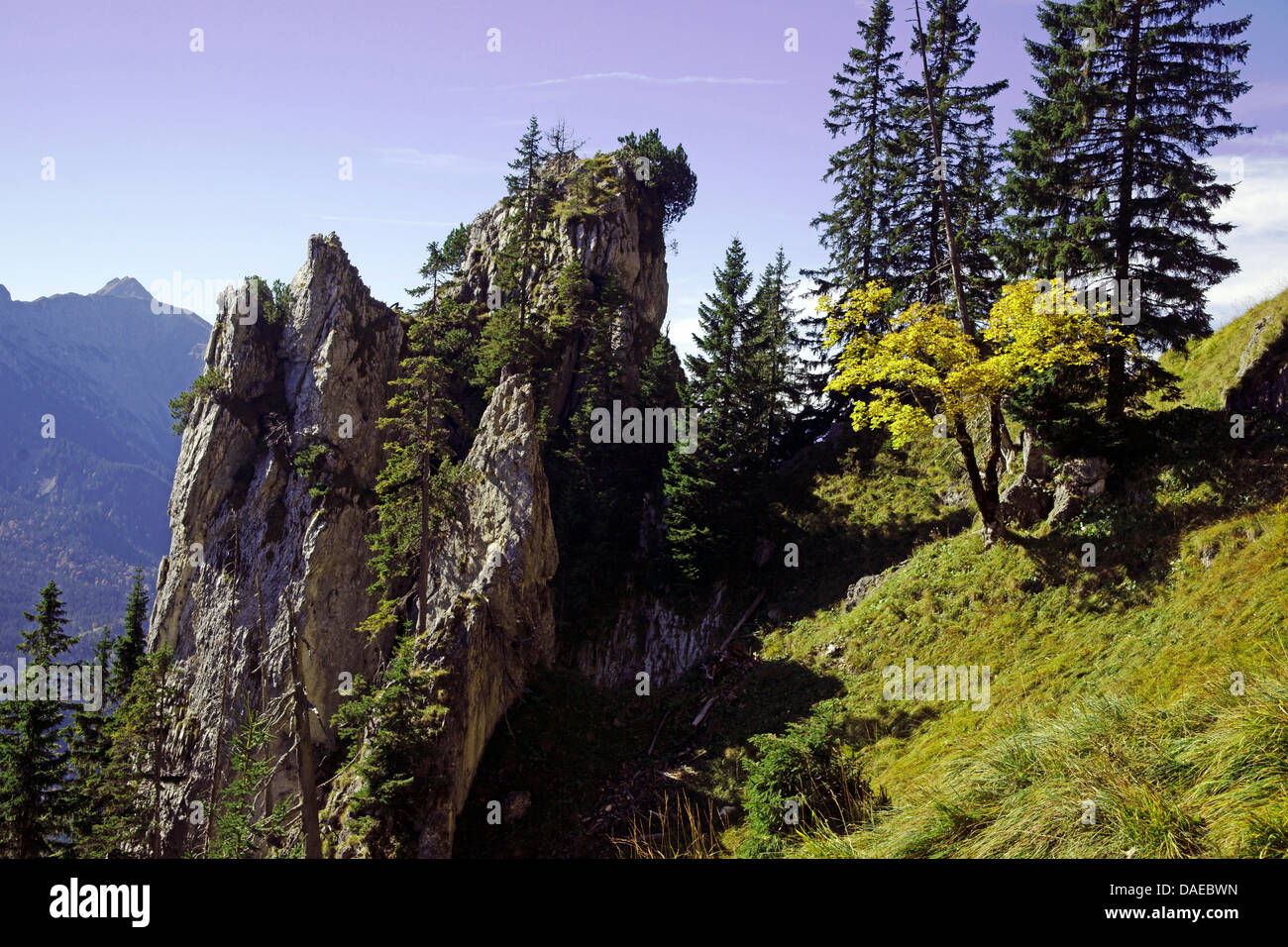 Felsformation der Ammergauer Alpen im Herbst, Deutschland, Bayern, Oberbayern, Oberbayern, Puerschling Stockfoto