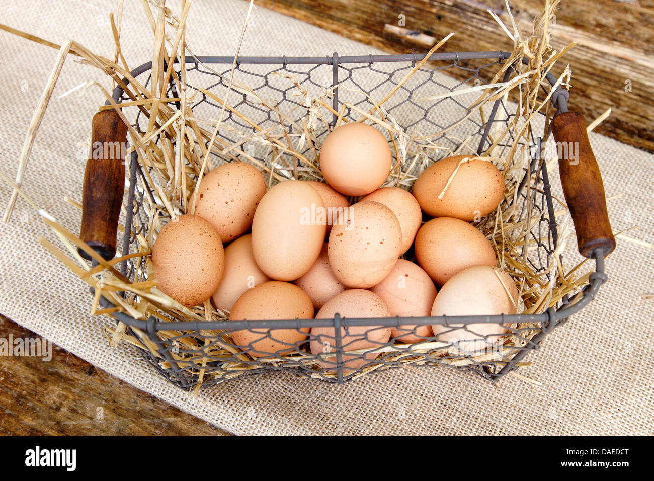 Braunen Eiern in Korb Stockfoto